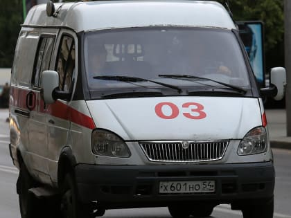 Вспышки сальмонеллёза зарегистрировали в трёх районах Новосибирска