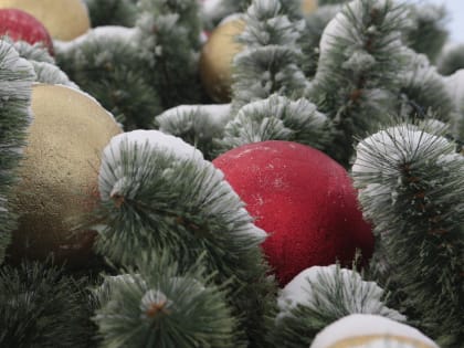 Мэр Кудрявцев позвал на ёлку «Время новогодних чудес»