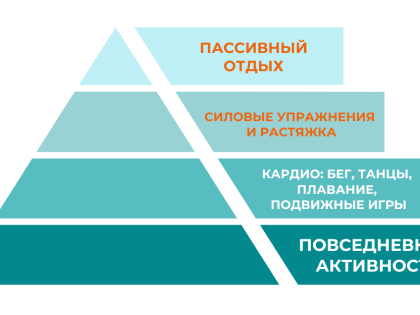 Пирамида физической активности: ступеньки здоровья