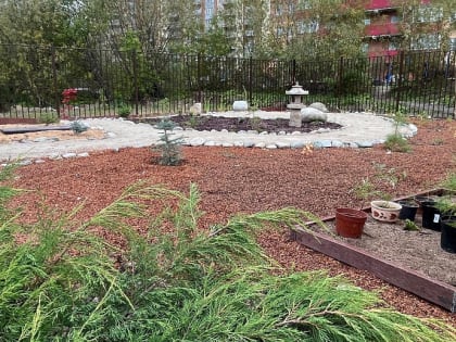 События в питомнике: что произошло в последние дни