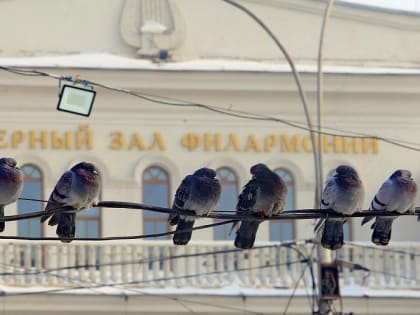 Афиша Новосибирска: куда сходить в понедельник, 15 апреля