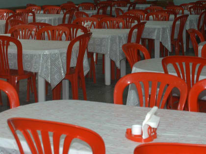 Из-за розовой курицы проверяют детский лагерь под Новосибирском