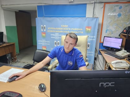 Эффективность системы пожарного мониторинга в Новосибирской области