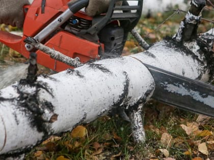 Миллионы на развитие: финансирование проектов в области образования