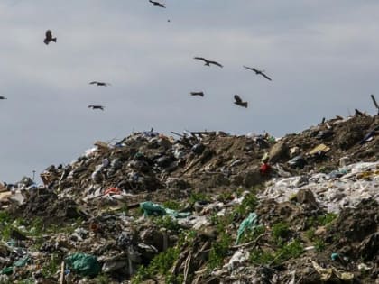 «Тело» сформировали у мусорного полигона в Пашино