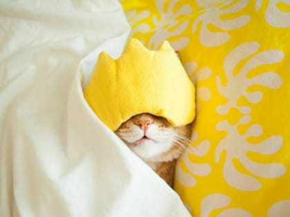 В Новосибирске на рабочей неделе с 8 по 12 июля сохранится жара до +27 градусов