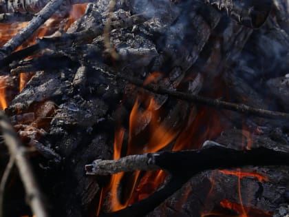 Число пожаров из-за палов травы выросло в 2,5 раза в Новосибирске