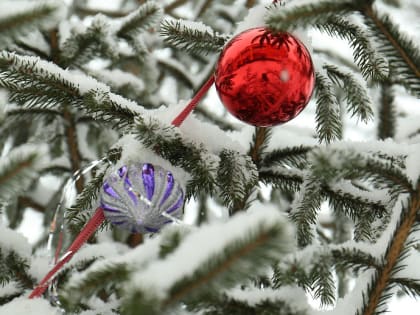 Новые инициативы для улучшения городской инфраструктуры