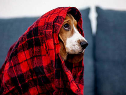 Новосибирцев ждут температурные качели на длинной рабочей неделе в апреле