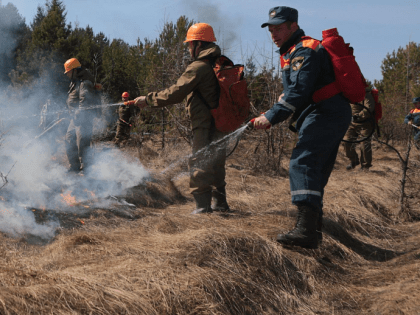 Поджоги сухой травы и мусора привели к половине пожаров в Новосибирске