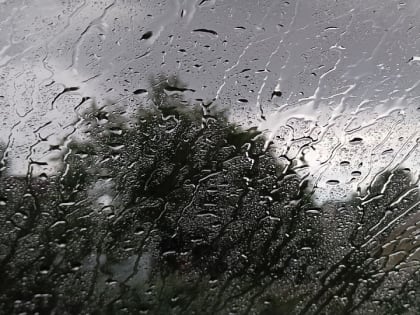 В Новосибирске новая неделя начнётся с дождей и похолодания до -3 градусов