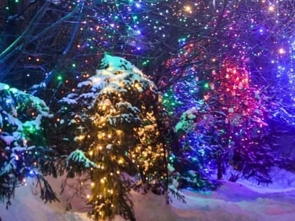 Жители Закарпатской улицы объединяются для её благоустройства