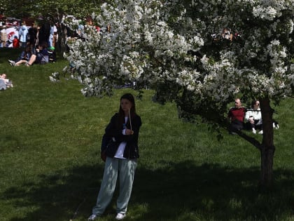 Новая волна жары накроет Новосибирск к выходным