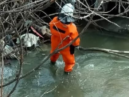 Спасатели устранили затор из упавших деревьев в русле реки в Новосибирске