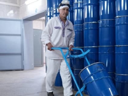 Если вы пропустили: сквер с лапками, секретная профессия и пушистый квартет