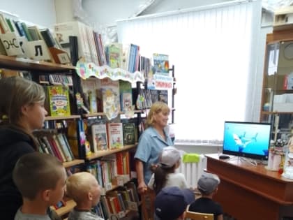 В мире китов и дельфинов