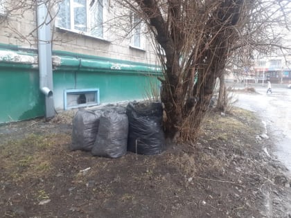 Глава Бердска дал две недели для приведения города в порядок после зимы