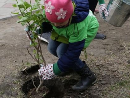 Мэр Кудрявцев поблагодарил горожан за инициативы по благоустройству парков