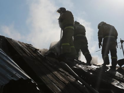 21 новосибирец погиб на пожарах с начала года