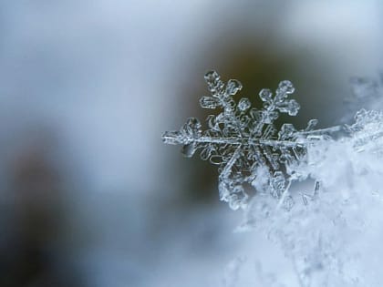 В Новосибирске синоптики пообещали 16 дней снегопада в начале марта