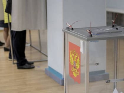 Новосибирские эксперты оценили уровень подготовки к выборам президента России