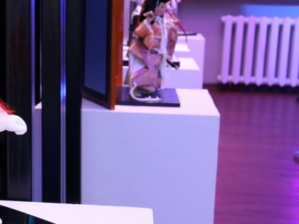 Школьникам предлагают посоревноваться в умении рассказывать сказки