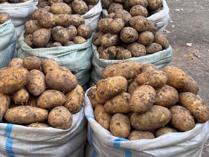 Бесплатное обучение для граждан в рамках федерального проекта