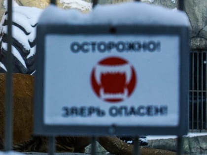 Солью и кофейным жмыхом посыпают дорожки в Новосибирском зоопарке