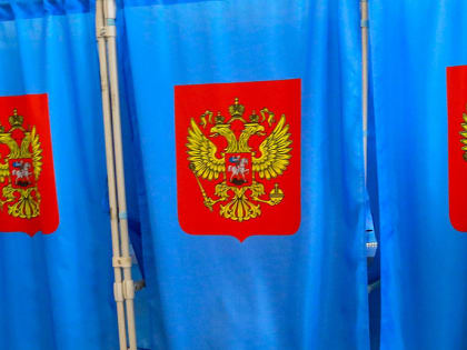 50 тысяч новосибирцев выбрали президента на дому