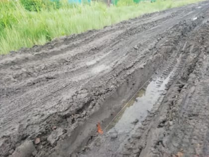 Оценка работы местных властей в Новосибирской области