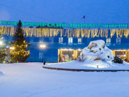 На роспись снежного лабиринта пригласил новосибирцев зоопарк