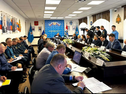 В Новосибирской области из-за паводка введён режим повышенной готовности