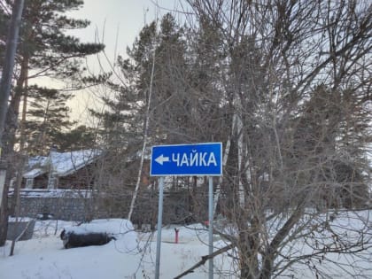 За Бердском закрепили несколько автодорог