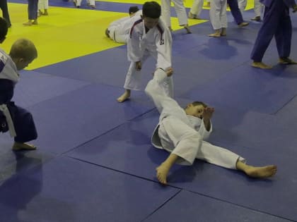 Спорткомплекс со школой дзюдо построят в Дзержинском районе