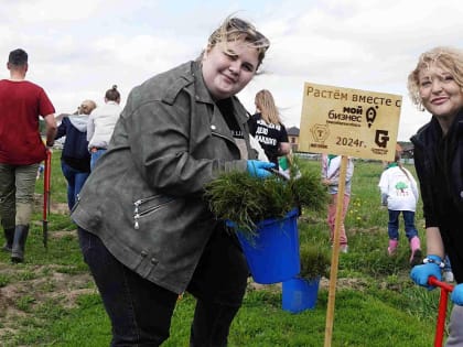 2000 сосен посадили новосибирцы ко Дню бизнесмена