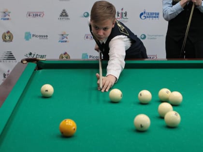 Талисман для чемпионата мира по бильярду попросили придумать новосибирцев