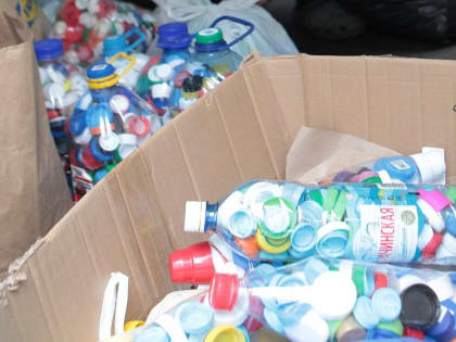 Шесть слуховых аппаратов купили детям на деньги от пластиковых крышечек