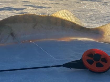 Зимняя рыбалка в Новосибирске: как не замёрзнуть