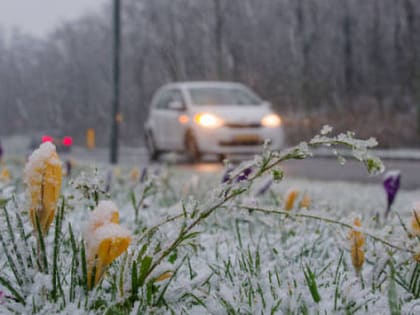 В Новосибирске прольется дождь со снегом на рабочей неделе с 8 по 12 апреля
