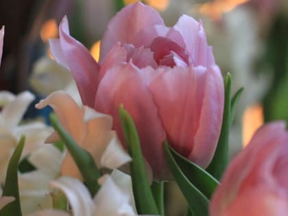 Пара из Новосибирска приняла участие в массовой свадьбе на ВДНХ