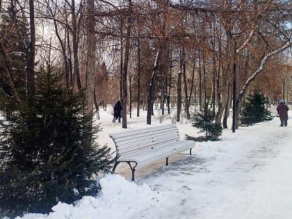 День матери в России: как отметить этот особенный день