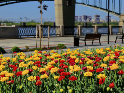 Глюкофоны и ксилофоны установят на Михайловской набережной в Новосибирске