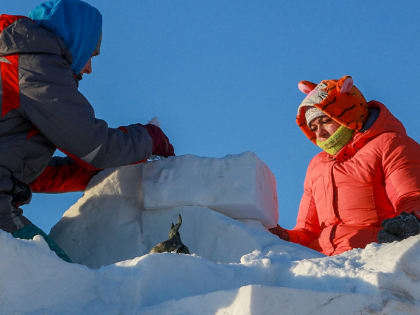 Большую снежную змею зовут лепить в Новосибирский зоопарк