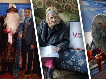 Поющие пенсионеры, 100-летние избиратели и Дед Мороз: как проходят выборы президента в Новосибирской области