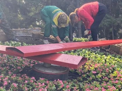 Тысячи бегоний высаживают на Цветочных часах в центре Новосибирске