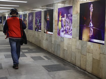Цирк, да и только: выставка необычного и смешного открылась в метро