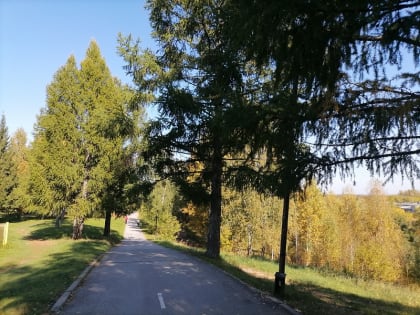 Истребили всех клещей в Парке Победы и на кладбище в Бердске