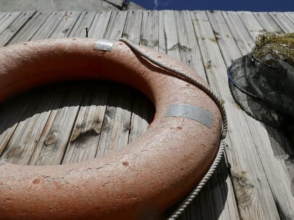 Новосибирцы свяжут искусственные нерестилища для сохранения рыбы