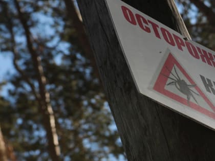 Лесные вампиры: спад активности и их влияние на экосистему