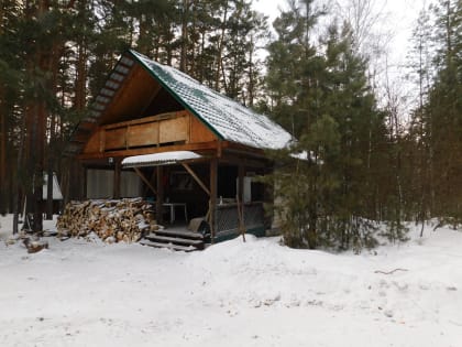 Морозы отступают: погода на выходных в Новосибирской области